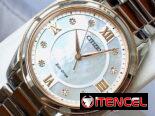 CITIZEN ECODRIVE AREZZO (EM0876-51D) DE MUJER CON CRISTAL ZAFIRO , 32MM EN ACERO INOXIDABLE , NUEVO A ESTRENAR 58049738