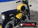 Ts 250