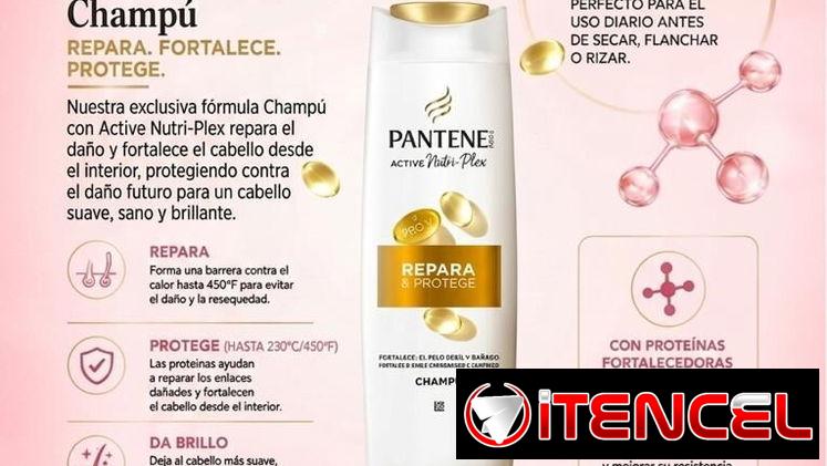 Pantene Active Nutri-Plex Pro Repara y Protege champú para cabello frágil dañado por procesos químicos, calor