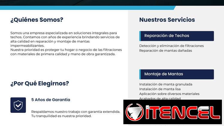Trabajos de monta y reparación de mantas para techos