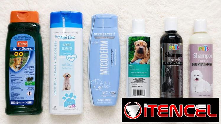 Nuevos shampoos para perros y gatos