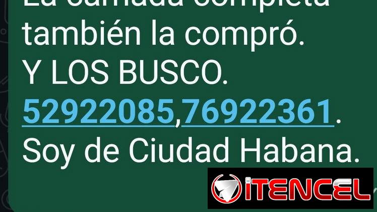 COMPRO COKER SPANIEL,de 80 a 90 USD,(la camada completa también la compró),de 35 a 60 días,Y LOS BUSCO