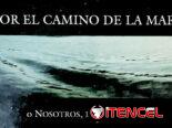 LIBROS EN PLAYA