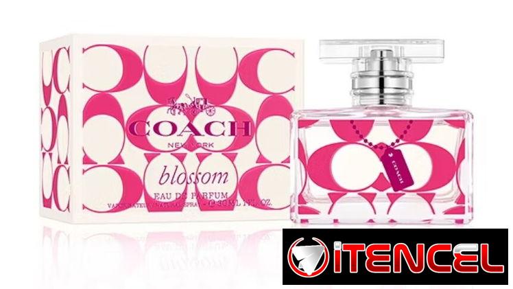 🌸 Perfumes originales