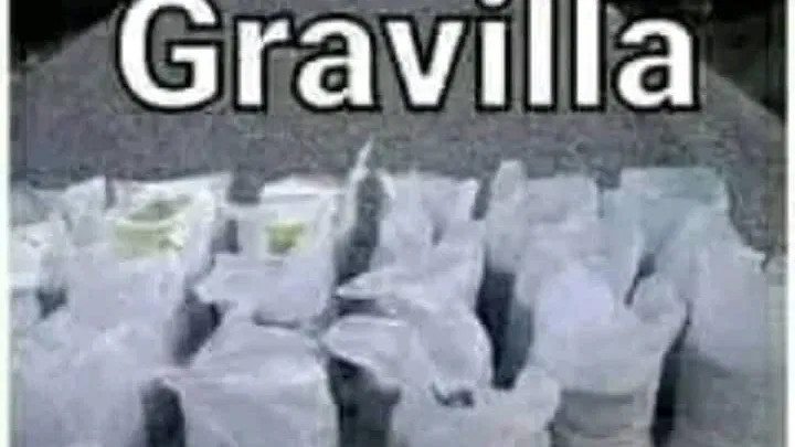 Gravilla