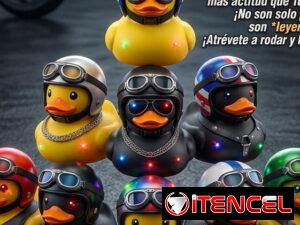 fcc8cf4cc3a1b11f1f4f5171674756bab487eeeaa7bd5afc539ebafc68e6e8b0