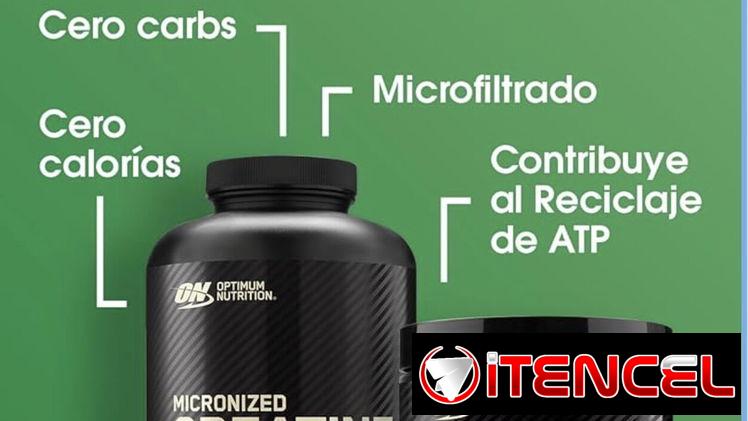 VARIEDAD DE CREATINAS PARA AUMENTAR MASA MUSCULAR CERTIFICADAS