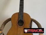 Guitarra clásica