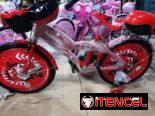 BICICLETA DE NIÑOS
