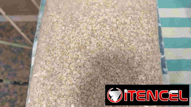 Paquete de 5 lbs de avena natural traída de Estados Unidos