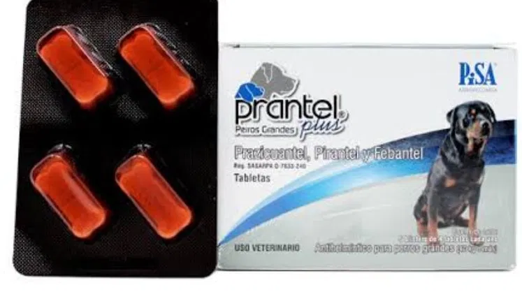 PRANTEL PLUS PERROS GRANDES