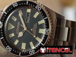 CITIZEN PROMASTER DIVER’S 200M AUTOMATICO (NY0125-83E) 41MM EN ACERO INOXIDABLE PLATEADO CON BISEL DORADO  58049738