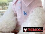 Ropa para mascotas