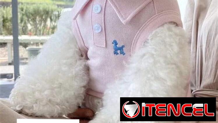 Ropa para mascotas