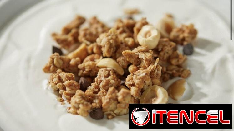 Granola con proteína – 275g chocolate y avellanas (Prozis)
