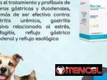 Ranitidina 100ml en suspensión oral para perros y gatos