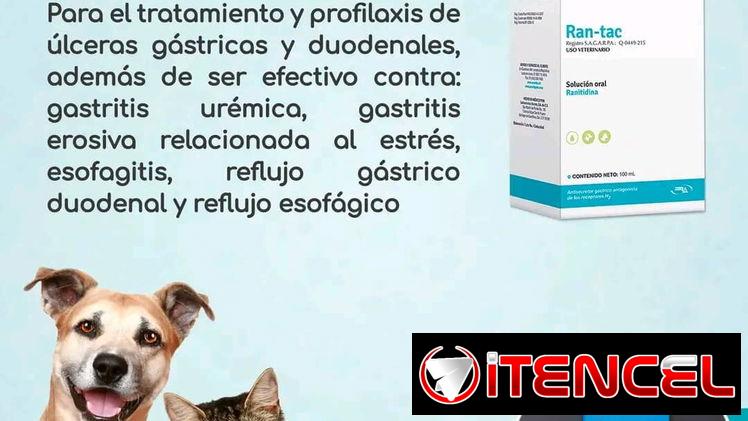 Ranitidina 100ml en suspensión oral para perros y gatos