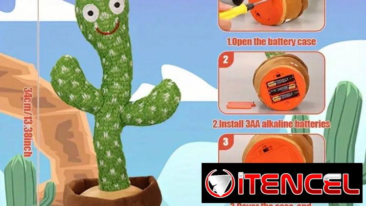 Cactus bailarín y micrófono