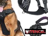Correas con pecheras Reforzadas