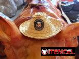 COMIDA CRIOLLA CUBANA 🙄 El Cerdito Loco 🙄