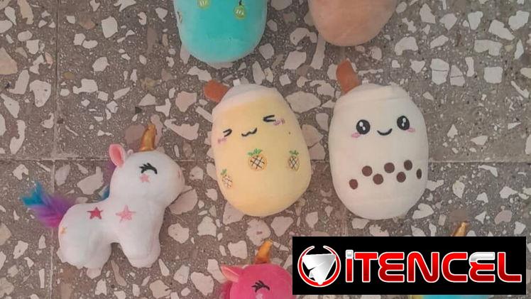 peluches para los consentidos del hogar