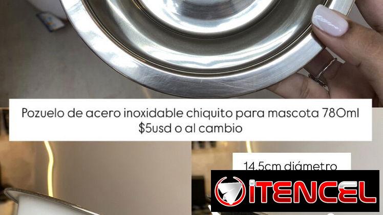 Platos para mascotas