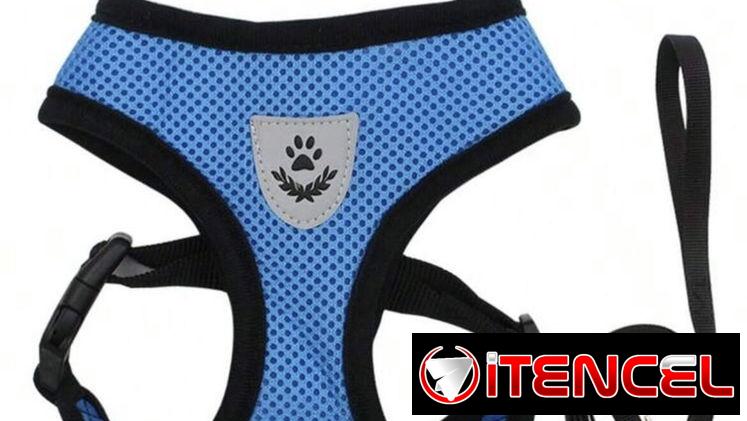 Artículos para perros