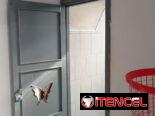 Neptuno 2 apartamentos por el precio de 1