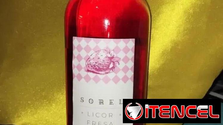 Licor de Fresa Sorel y más