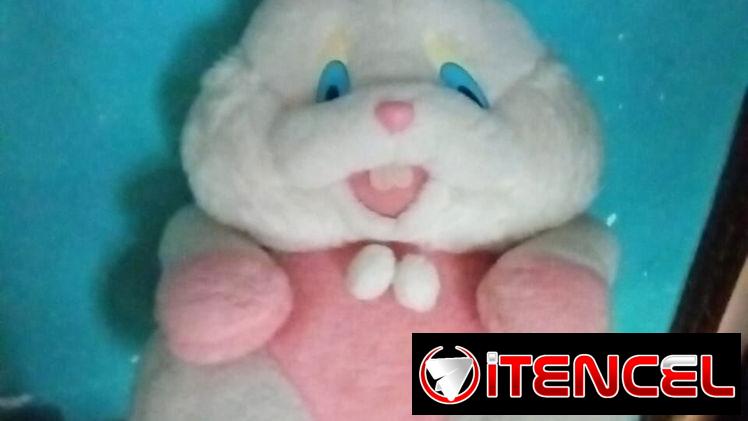 Peluches grandes