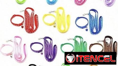 Artículos para perros