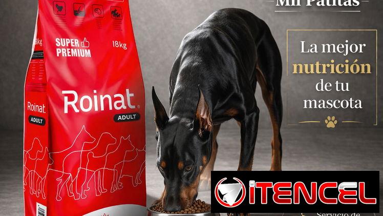 Pienso para perro adulto
