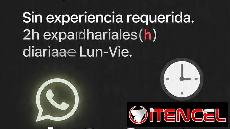 Asistente de Redes Sociales | Pagamos en Crypto, Zelle o Banco