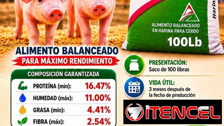 🚚 MIPYME RODSAIZ SRL📦  🔝🐷 Pienso AGROTEL PARA CEBA DE CERDOS 🐖 🔝