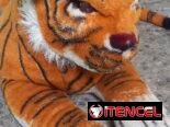 Peluche