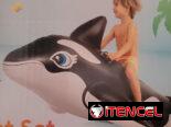 Flotador de ballena (EyH)