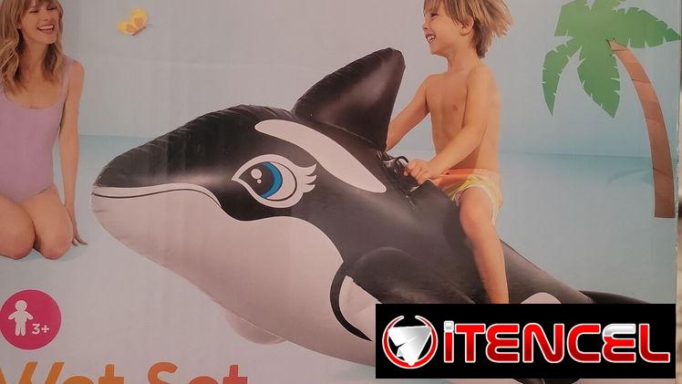 Flotador de ballena (EyH)