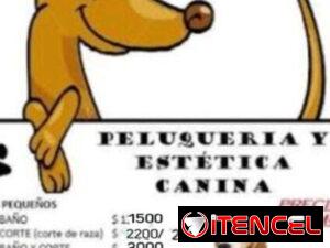 0386eda3347b77831424b7dbf610dbc657ab9a73bc9d34284d2ad9f997a7b44f