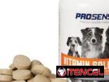 Vitaminas para perros