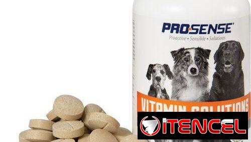 Vitaminas para perros