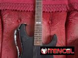 Guitarra electrica Esp Ltd