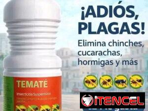 04521d1fd6d8458d66af7f48ec771eb52208fce0818e45e6fd2cbf7bdc9fc703-2