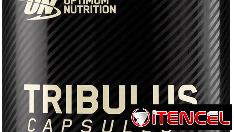 ⚡️Creatina monohidratada y Tribulus Terrestris Optimum Nutrition y Horbaach