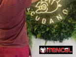 Se Realizan Carteles Neón Flex lumínicos