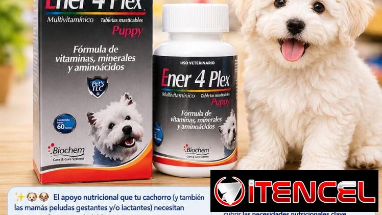 Ener 4 Plex Puppy – 60 Tabletas multivi para perros cachorros