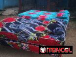 Conjunto de camas tapizadas con su colchón nuevo