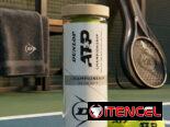 Tubo de 3 Pelotas Dunlop Extra Duty (Mensajeria Gratis en Playa!)