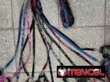 Correas y collares !!