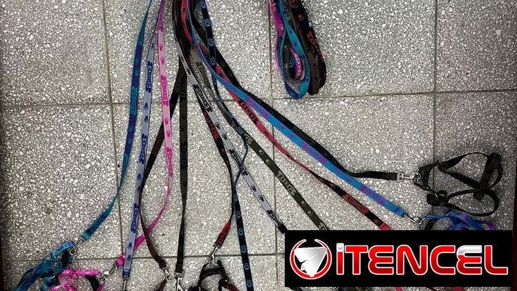 Correas y collares !!