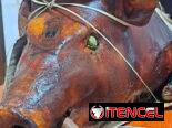 💥El Sabor de siempre,el sazón de antes. Disfruta de nuestra auténtica🌯comida criolla y cerdo🐖asado🌮
